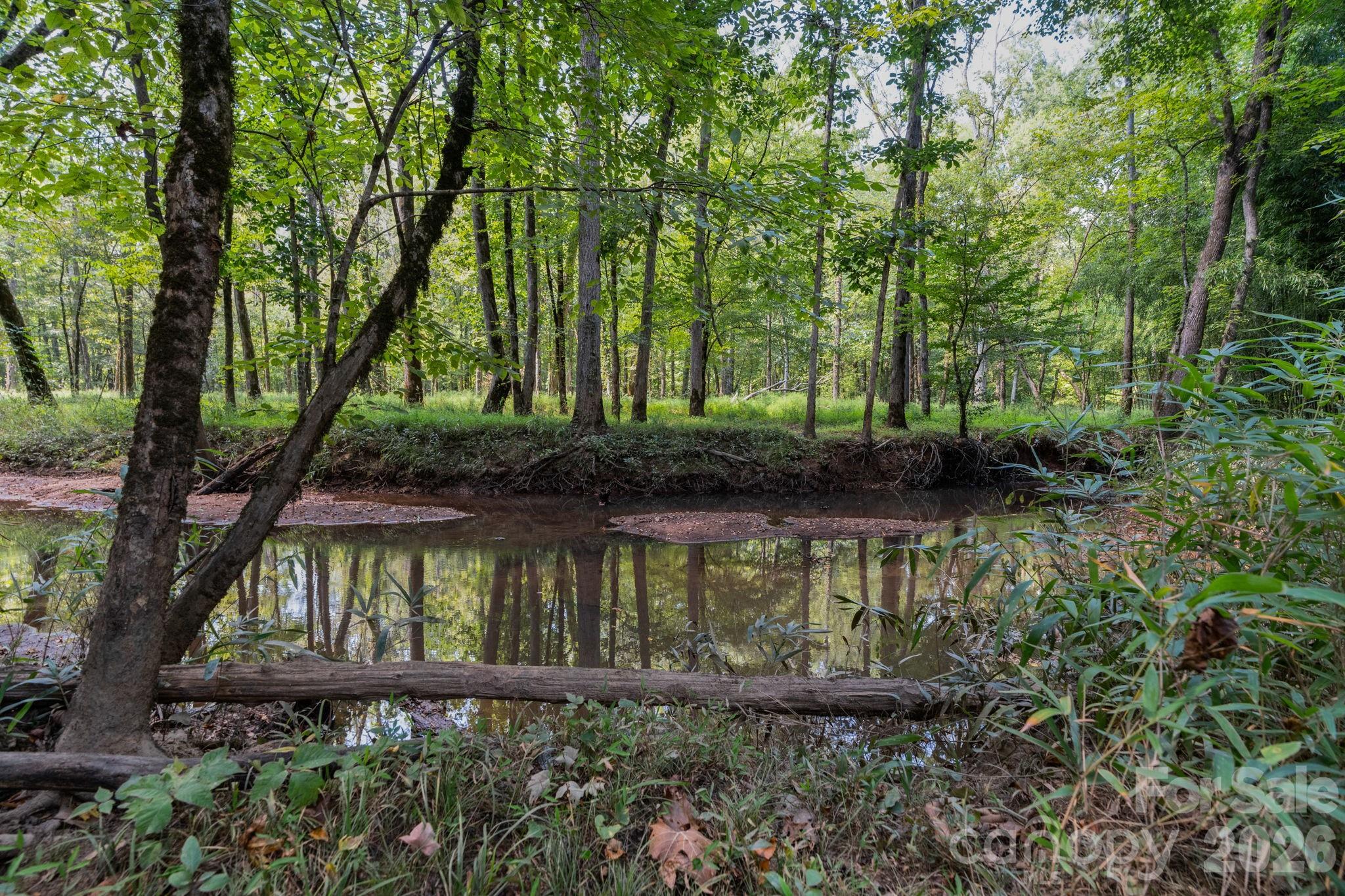 Acreage at 00 Stonehenge Court, Waxhaw, photo 8 of 25
