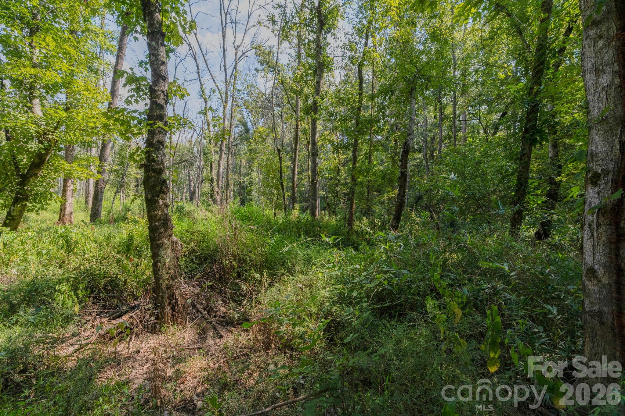 Acreage at 00 Stonehenge Court, Waxhaw, photo 10 of 25