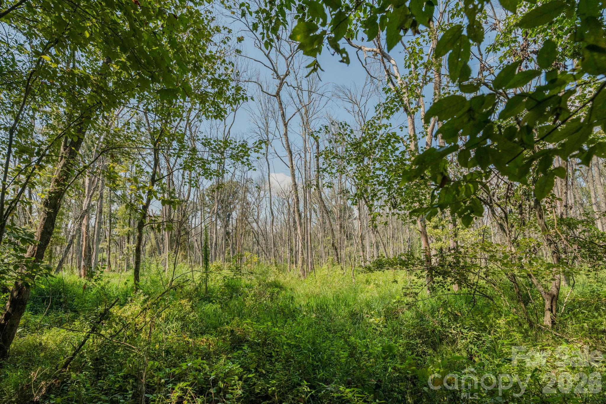 Acreage at 00 Stonehenge Court, Waxhaw, photo 16 of 25