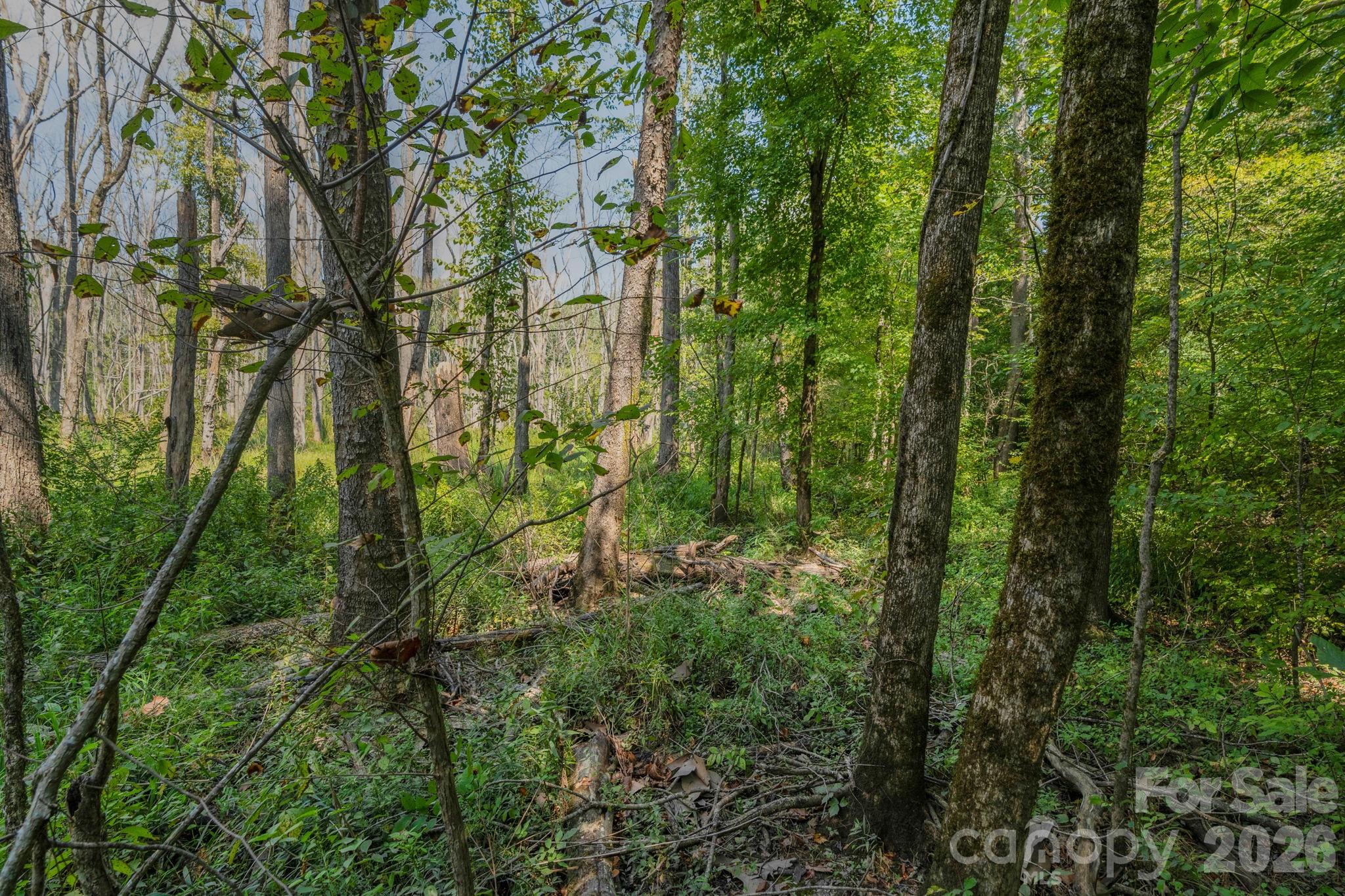 Acreage at 00 Stonehenge Court, Waxhaw, photo 18 of 25