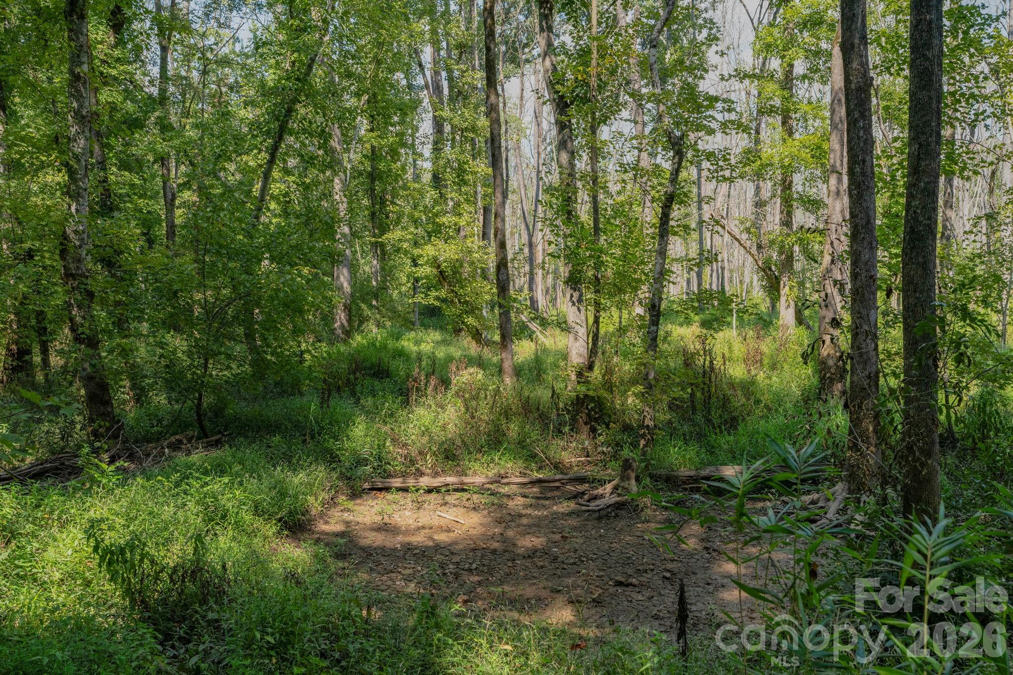 Acreage at 00 Stonehenge Court, Waxhaw, photo 21 of 25