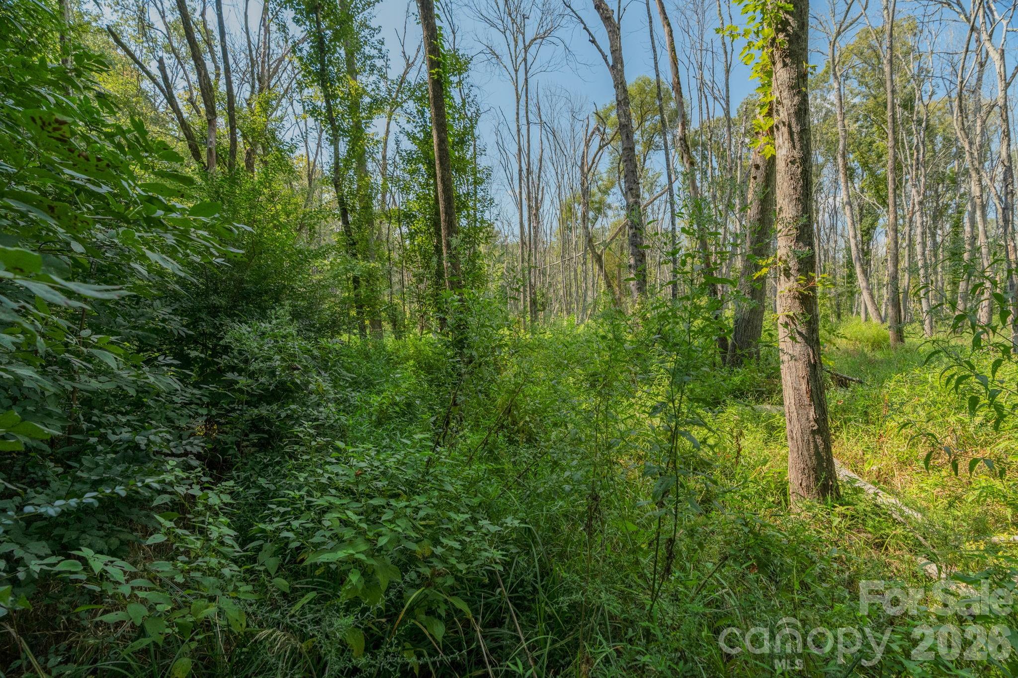 Acreage at 00 Stonehenge Court, Waxhaw, photo 23 of 25