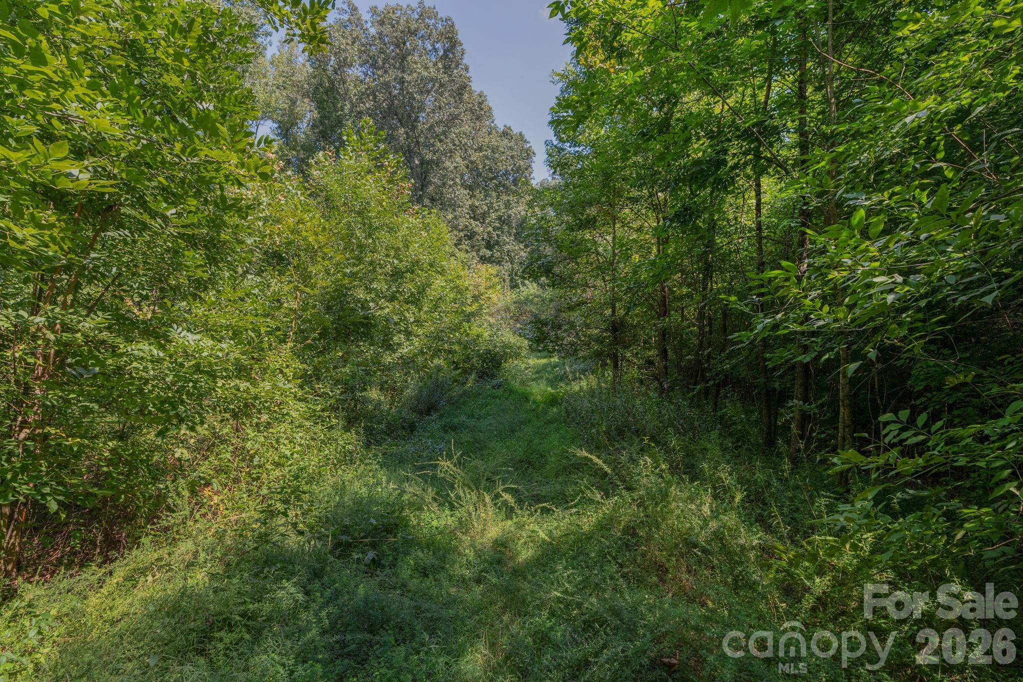 Acreage at 00 Stonehenge Court, Waxhaw, photo 24 of 25
