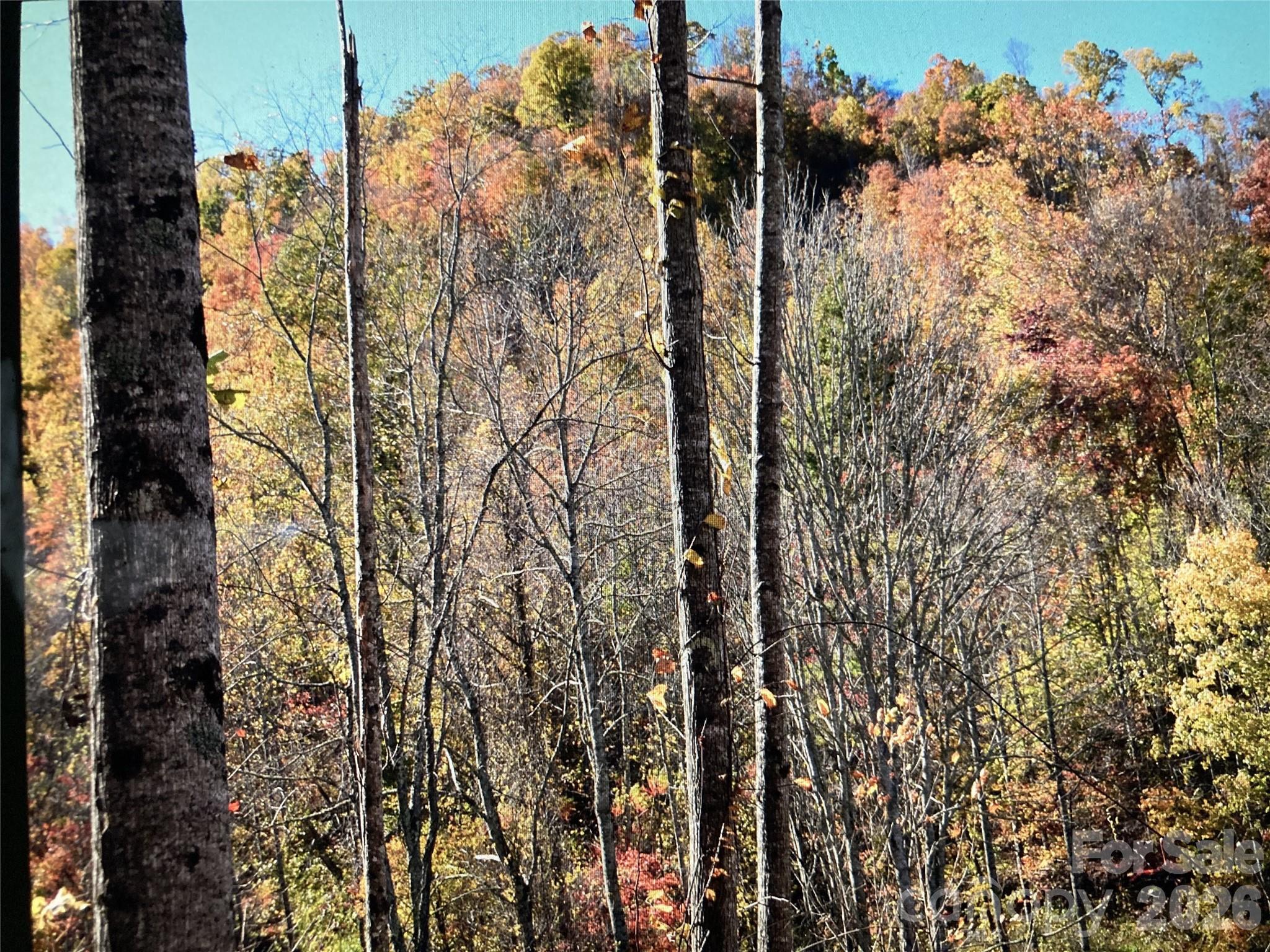 Acreage at TBD Prices Creek Road, Burnsville, photo 10 of 22