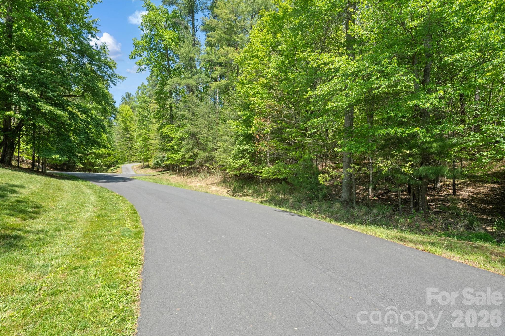 Lot at TBD Peddlers Trail, Mars Hill, photo 3 of 27
