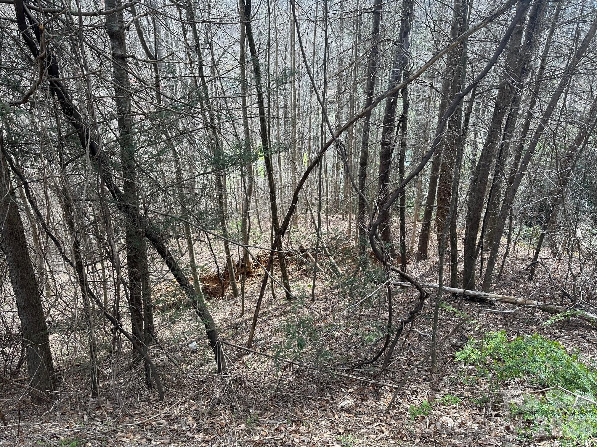 Lot at 0 Tuckaway Ridge Drive, Hendersonville, photo 3 of 5