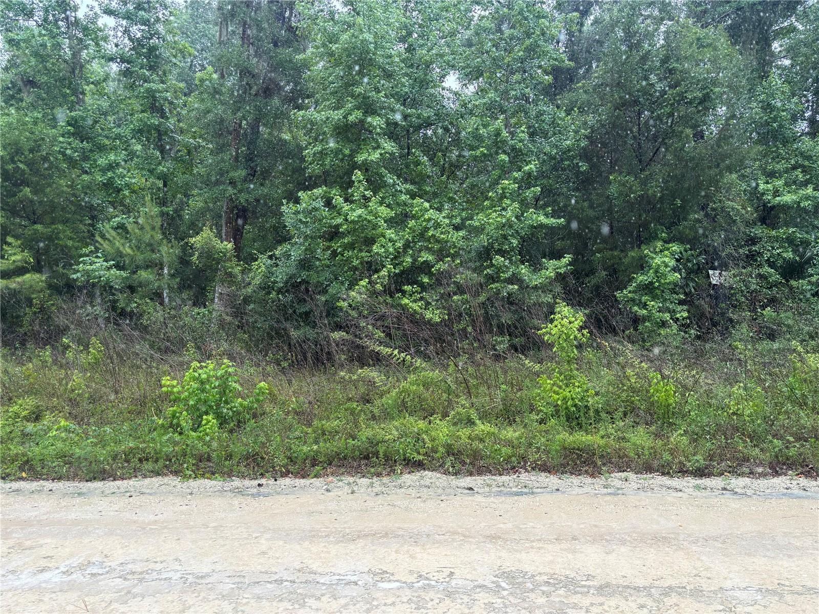 0000 SW 7TH LN