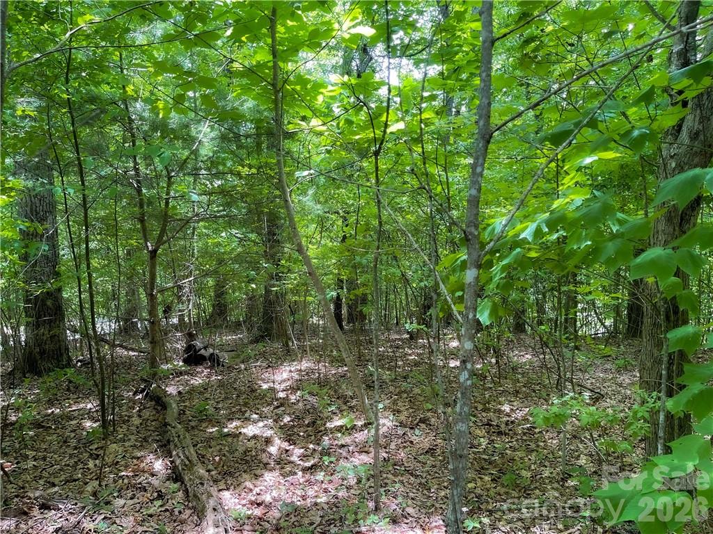 Lot at L-36 Saint Moritz Lane, Spruce Pine, photo 3 of 13