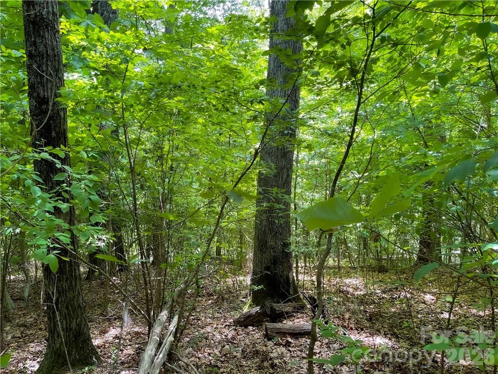 Lot at L-36 Saint Moritz Lane, Spruce Pine, photo 5 of 13