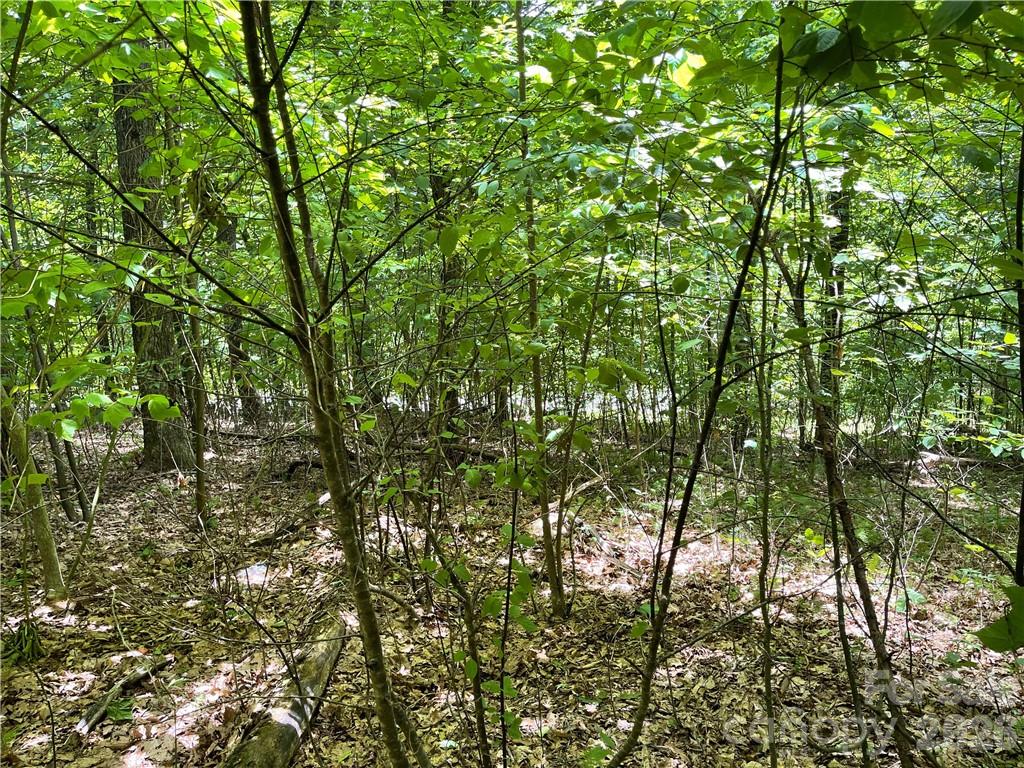 Lot at L-36 Saint Moritz Lane, Spruce Pine, photo 6 of 13