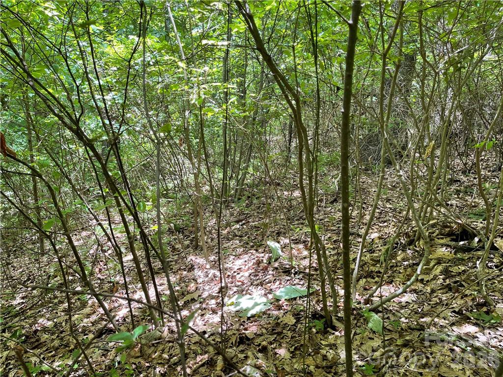 Lot at L-36 Saint Moritz Lane, Spruce Pine, photo 7 of 13