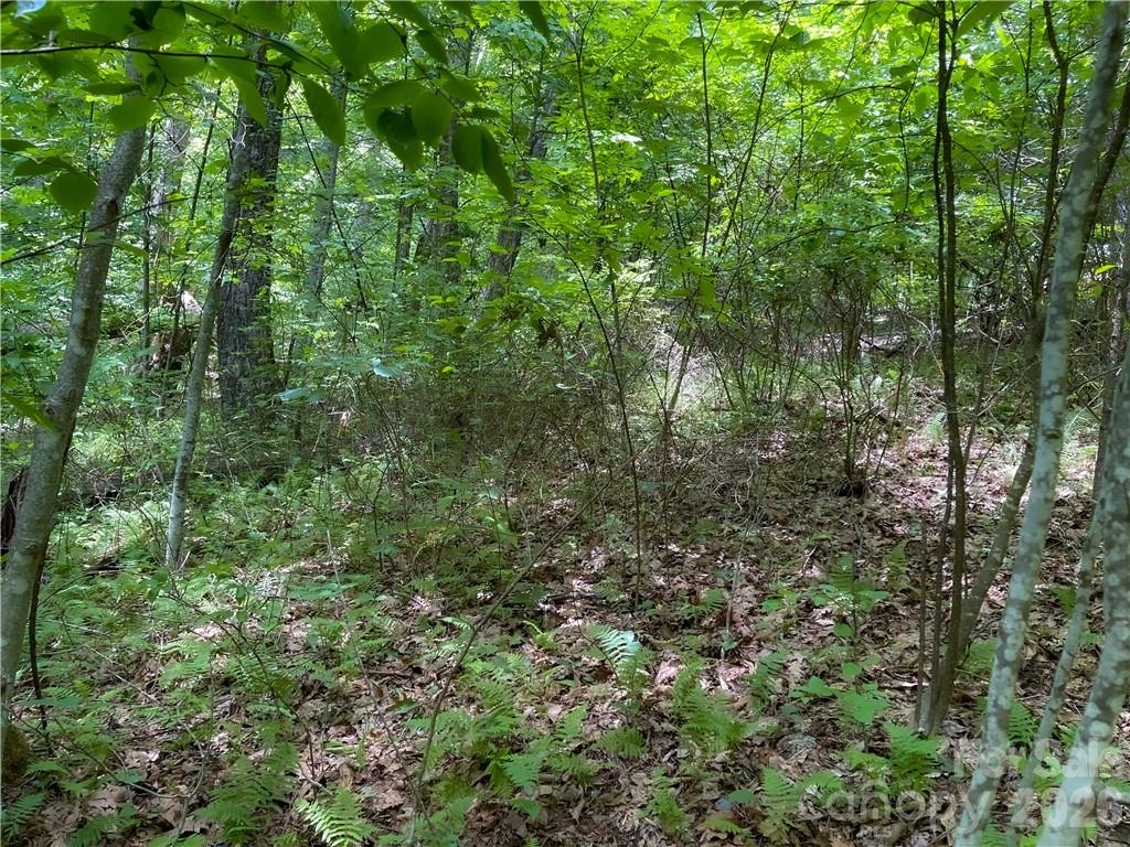 Lot at L-36 Saint Moritz Lane, Spruce Pine, photo 11 of 13