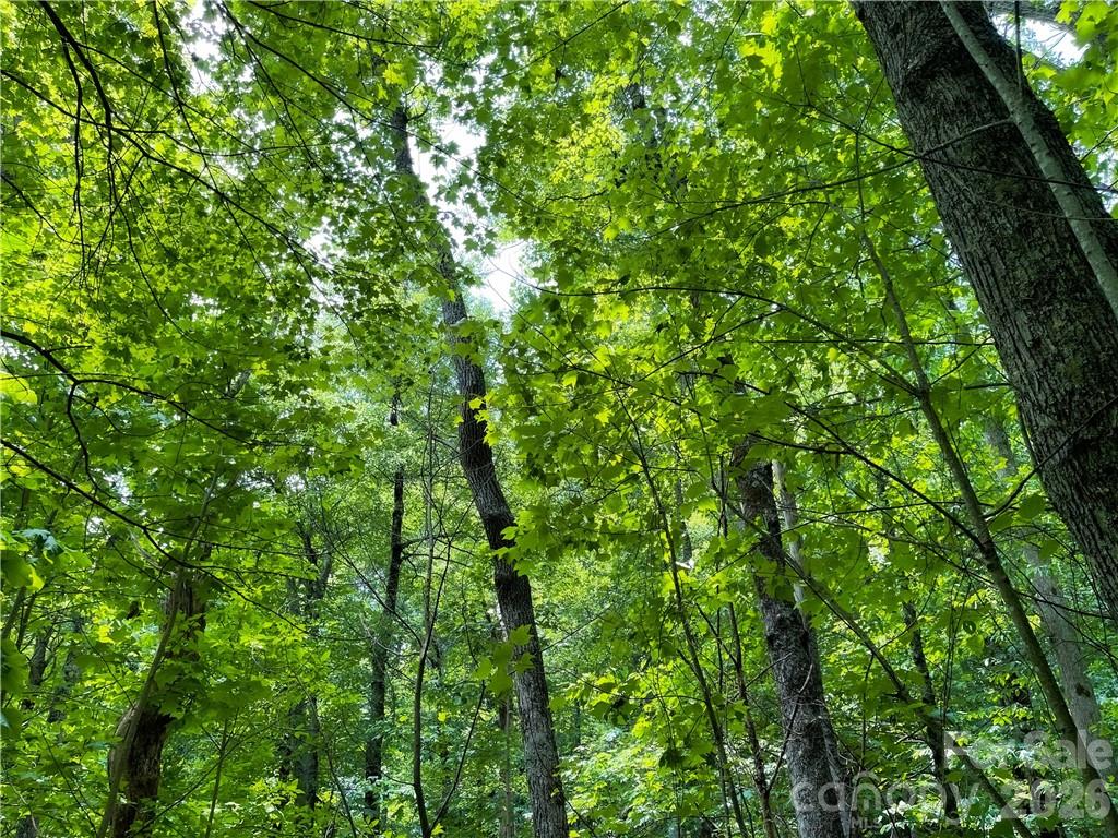 Lot at L-36 Saint Moritz Lane, Spruce Pine, photo 12 of 13