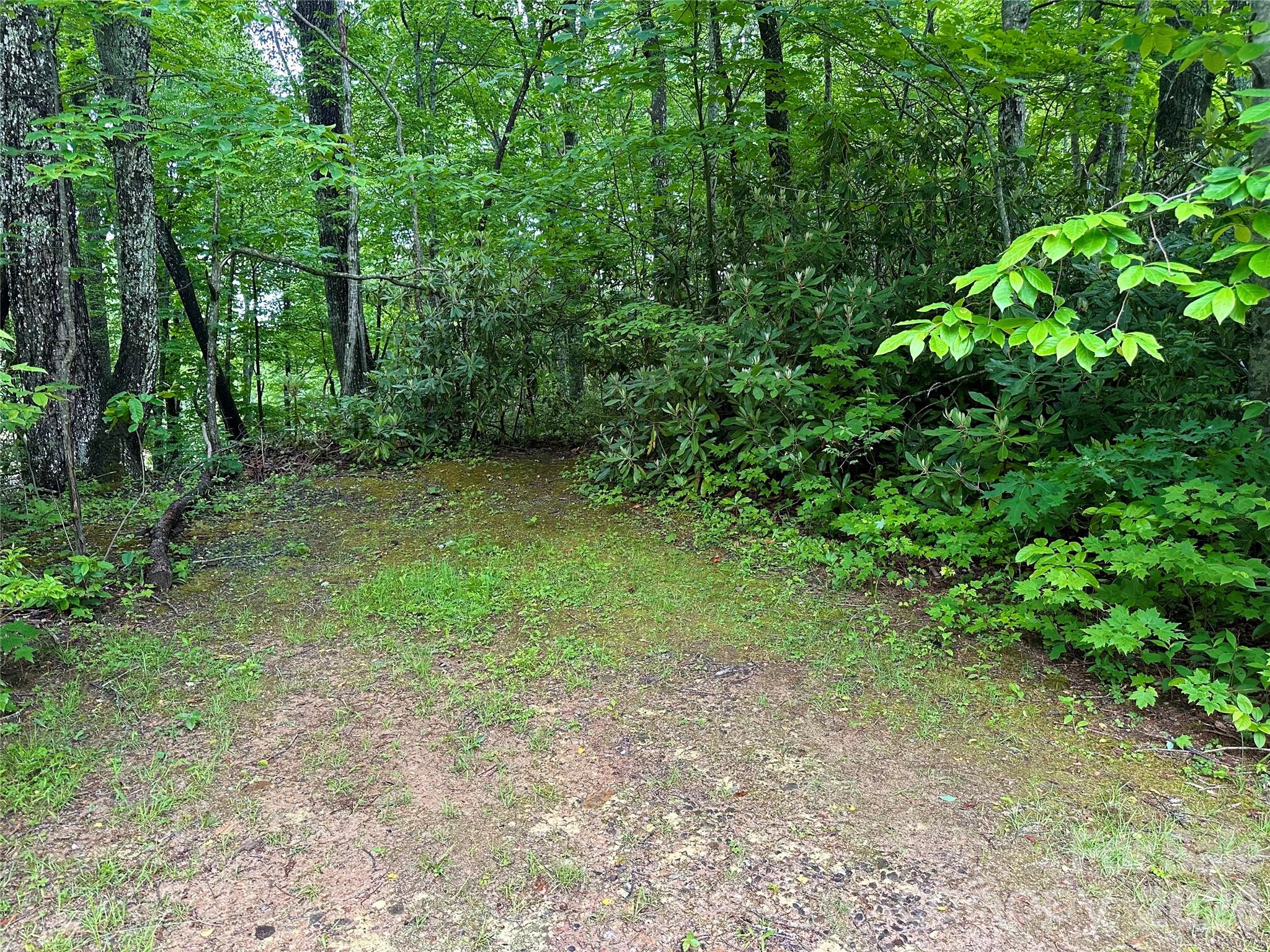 Lot at 000 Laurel Circle Road, Burnsville, photo 3 of 10