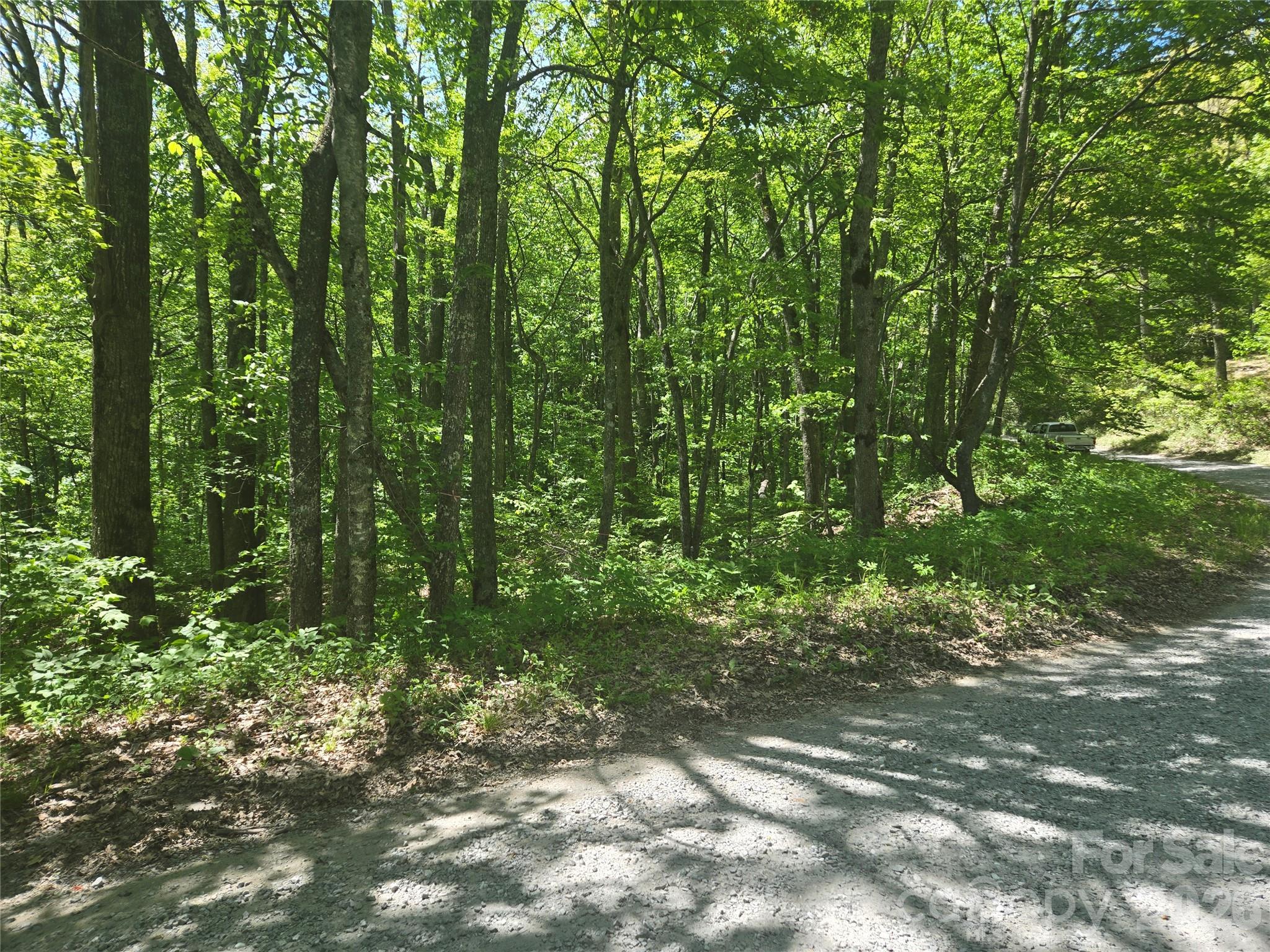 Lot at 000 Greenspire Road, Sylva, photo 6 of 16