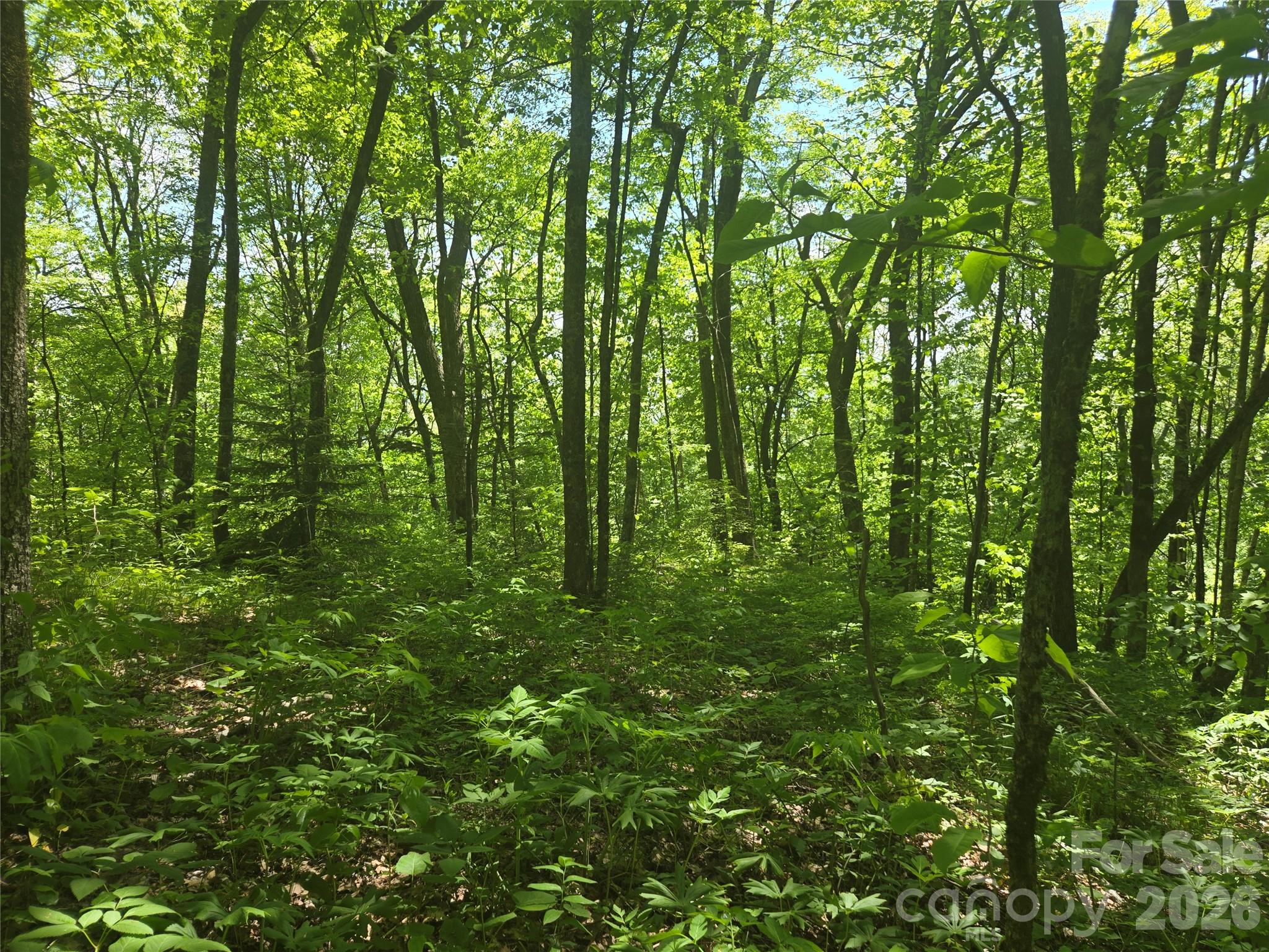 Lot at 000 Greenspire Road, Sylva, photo 7 of 16