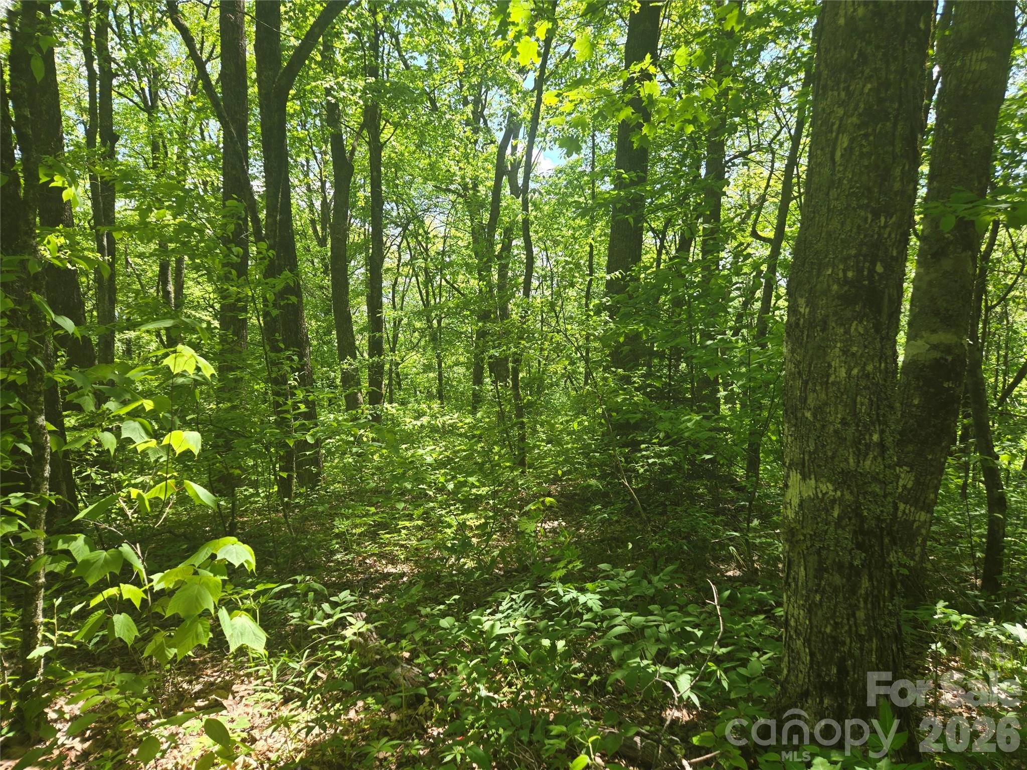 Lot at 000 Greenspire Road, Sylva, photo 8 of 16