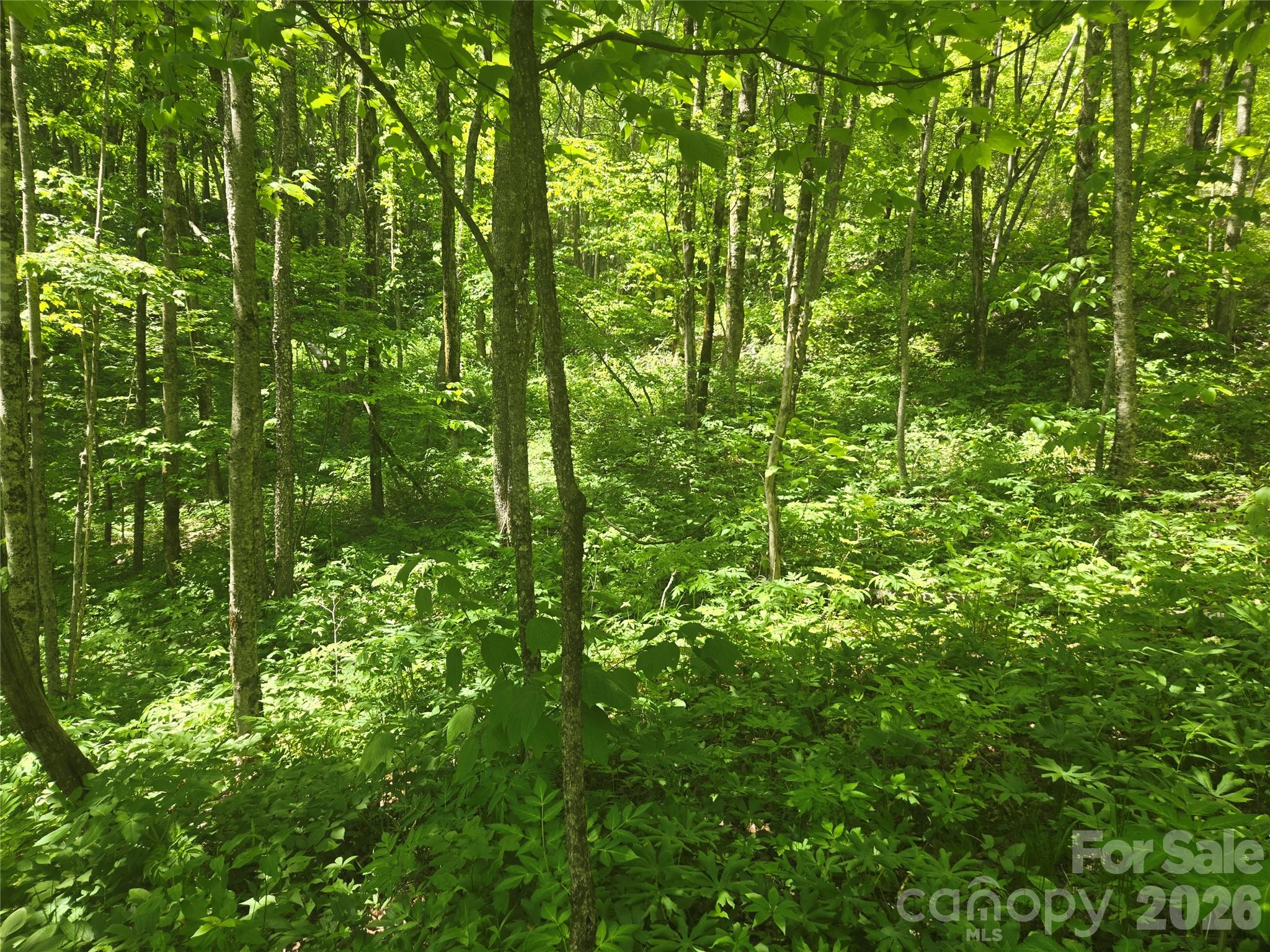 Lot at 000 Greenspire Road, Sylva, photo 9 of 16