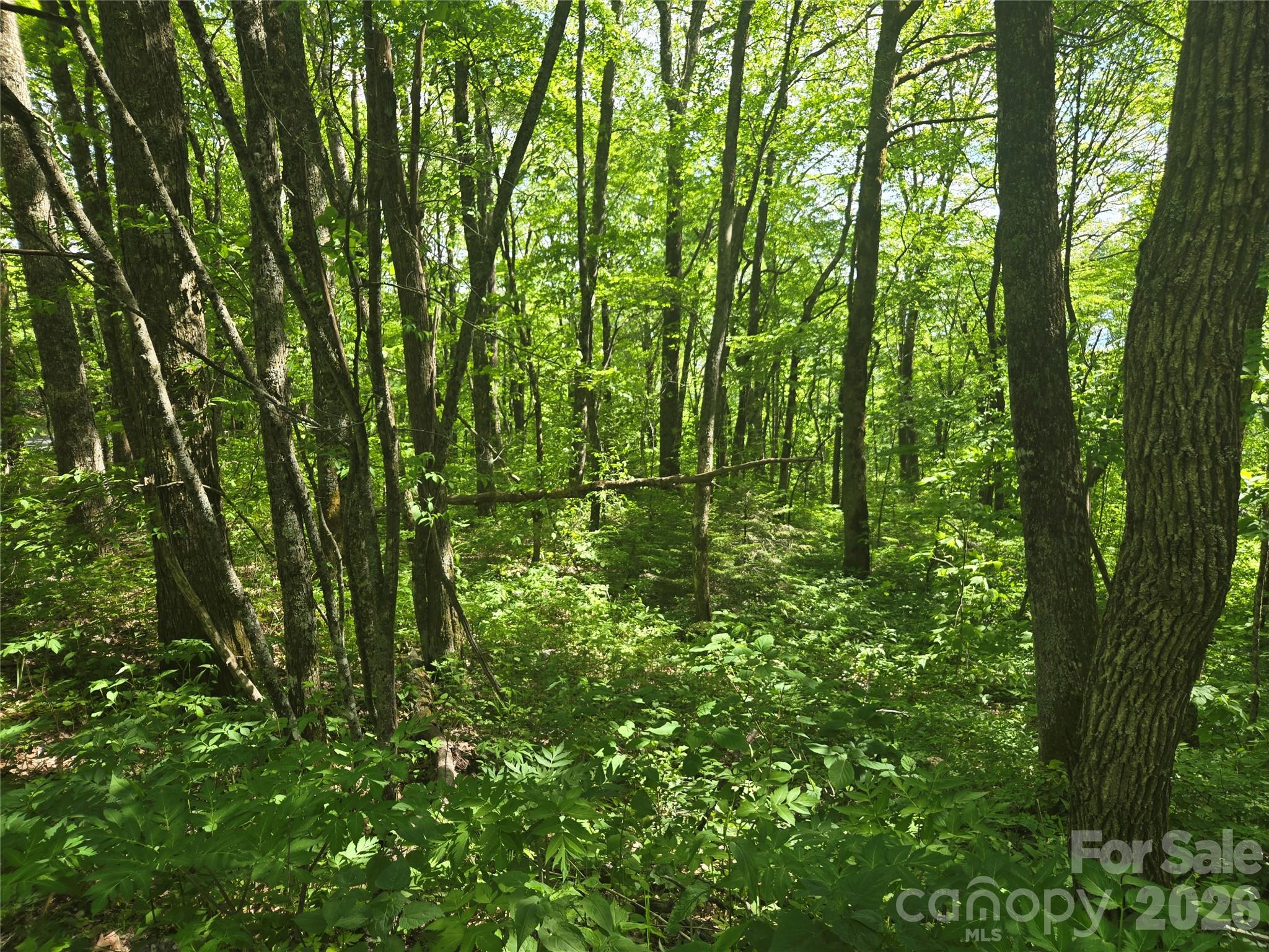 Lot at 000 Greenspire Road, Sylva, photo 10 of 16