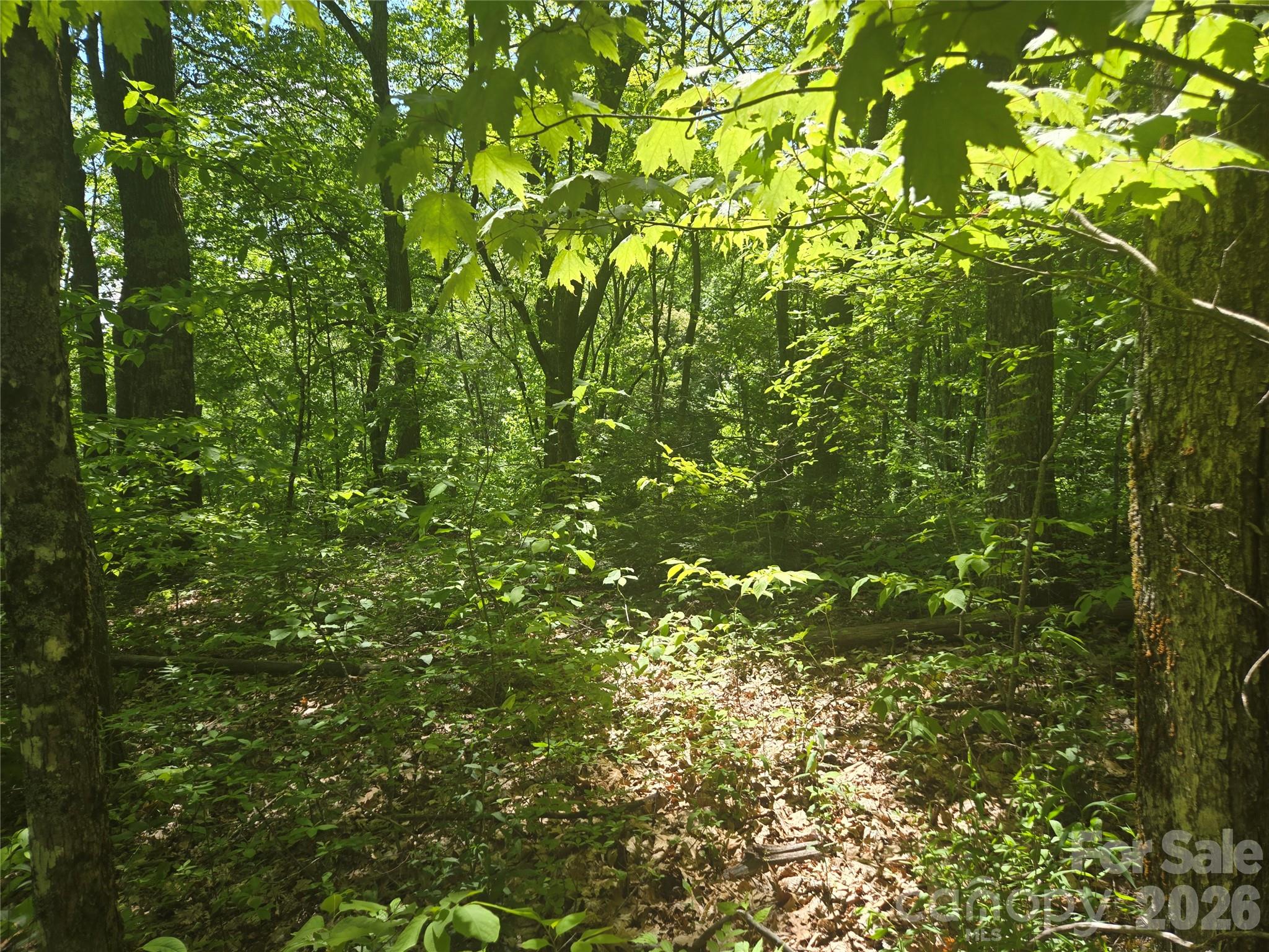 Lot at 000 Greenspire Road, Sylva, photo 11 of 16