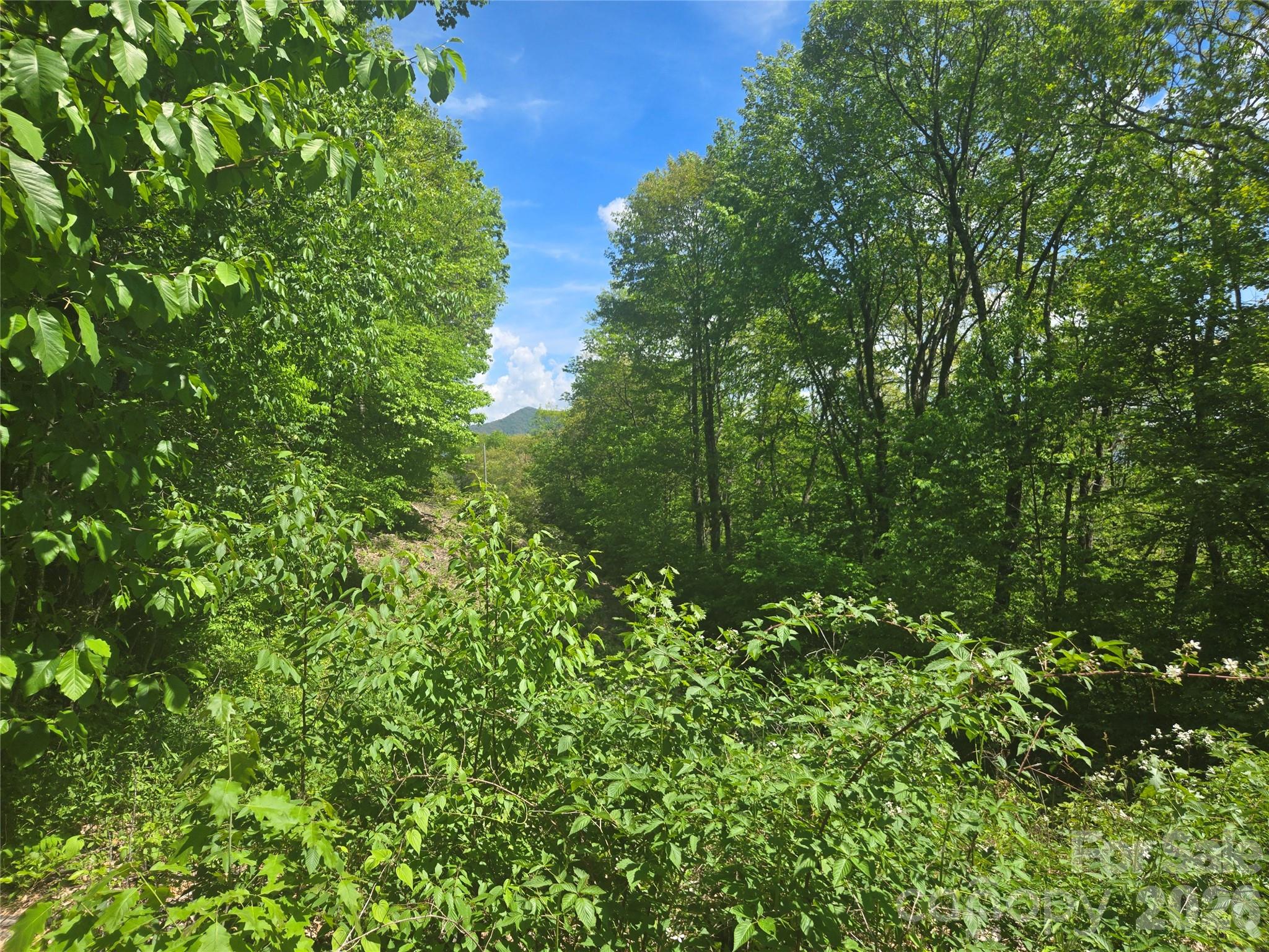 Lot at 000 Greenspire Road, Sylva, photo 12 of 16