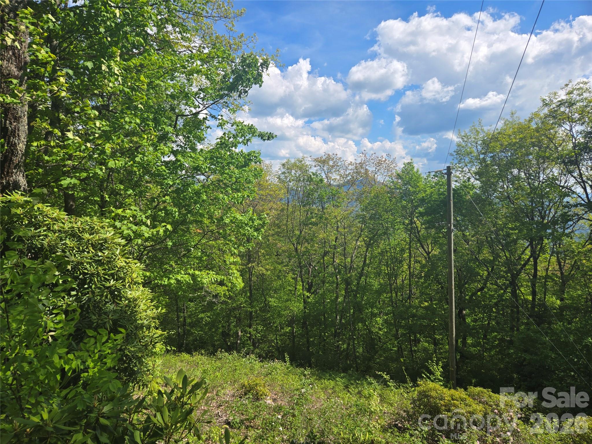 Lot at 000 Greenspire Road, Sylva, photo 13 of 16