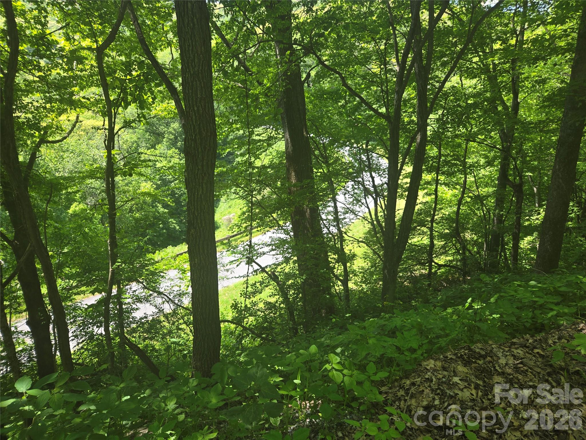 Lot at 000 Greenspire Road, Sylva, photo 15 of 16