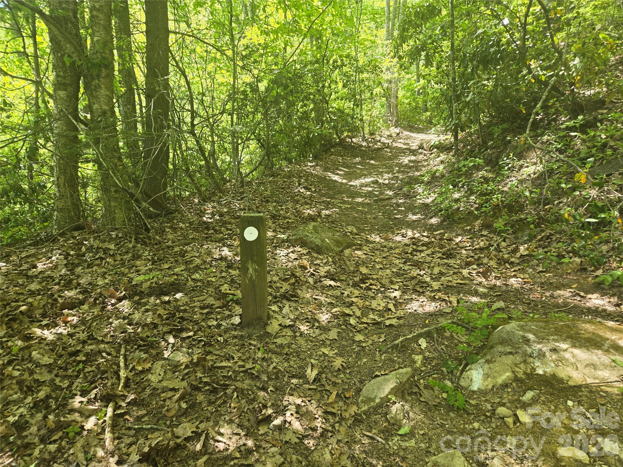Lot at 000 Greenspire Road, Sylva, photo 16 of 16