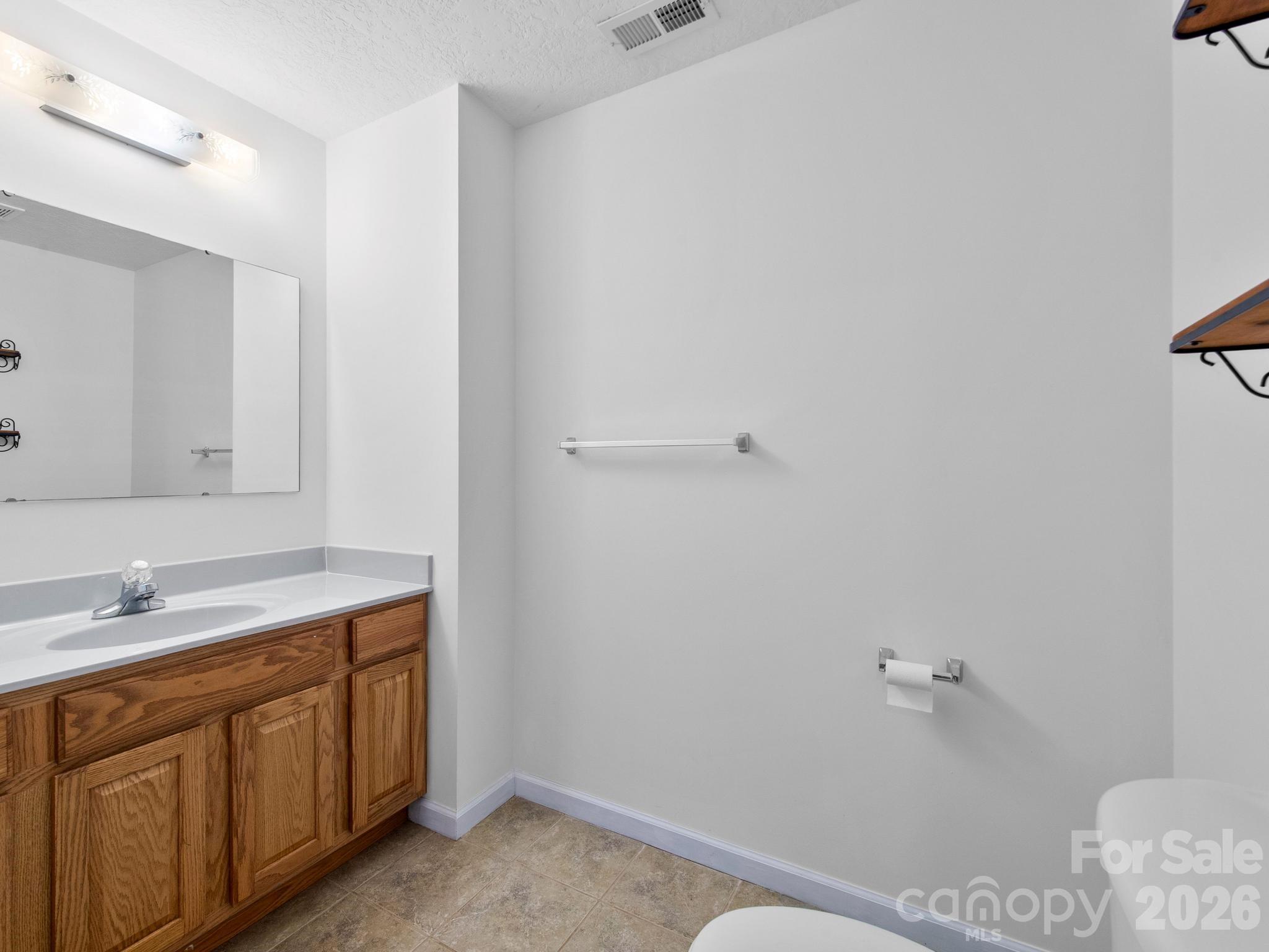 Lower-level half bath - 37 Leatherwood Drive, Candler