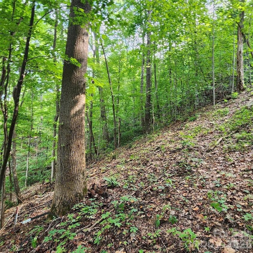 Lot at 0 Switchback Road, Lake Lure, photo 2 of 4