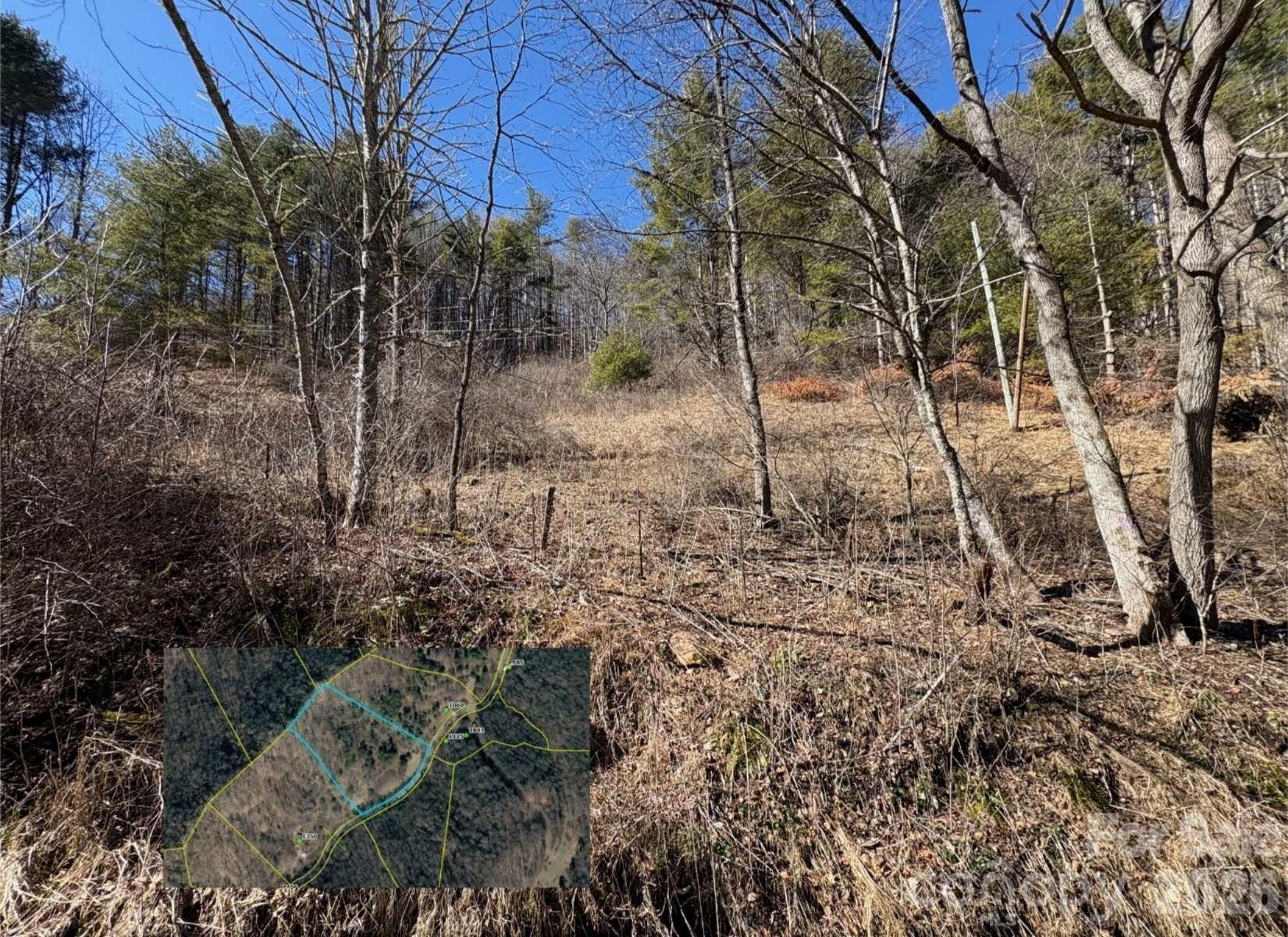 Acreage at 9999 Bee Log Road, Burnsville, photo 2 of 17