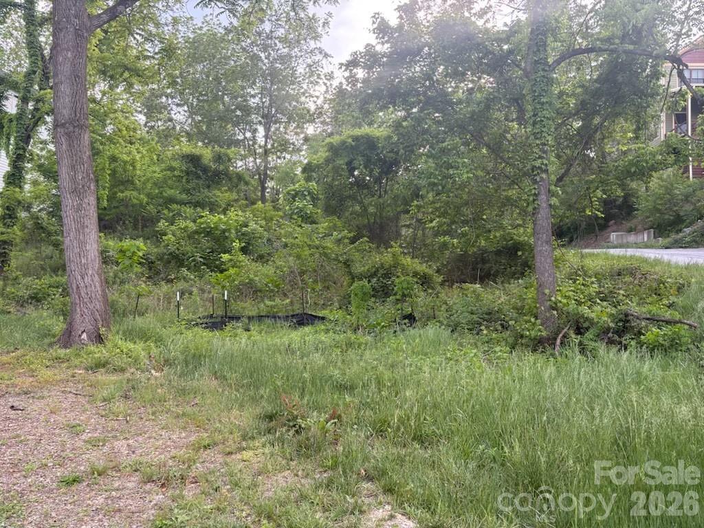 Acreage at 111 Waynesville Avenue, Asheville