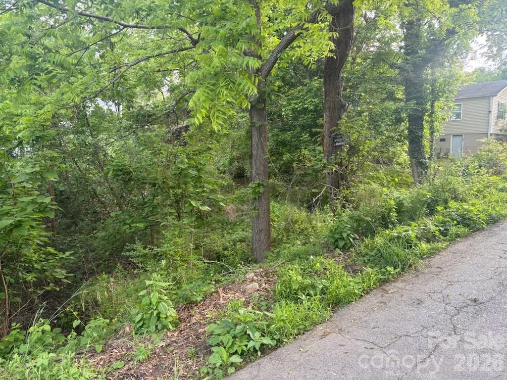 Acreage at 111 Waynesville Avenue, Asheville, photo 2 of 7