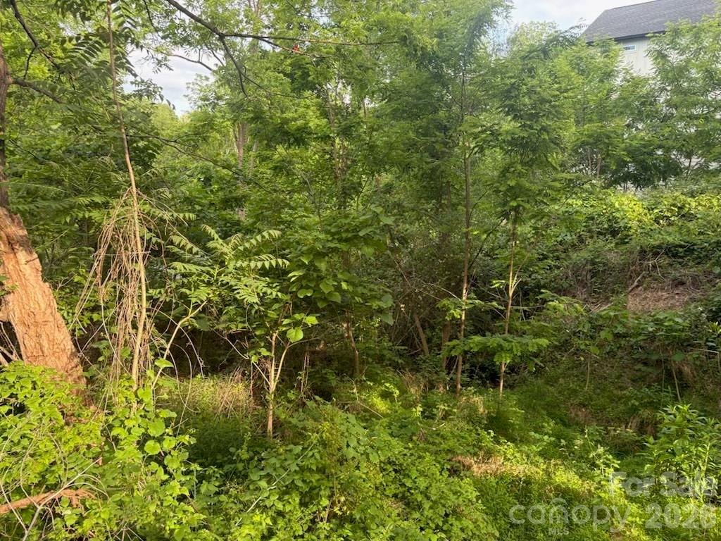 Acreage at 111 Waynesville Avenue, Asheville, photo 5 of 7