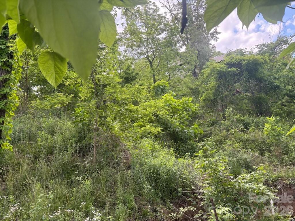 Acreage at 111 Waynesville Avenue, Asheville, photo 6 of 7