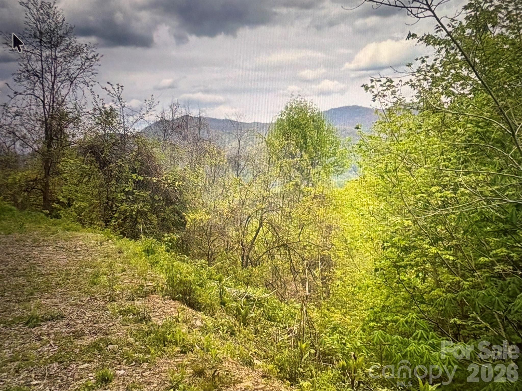 Lot at 0 Huckleberry Walk, Bryson City, photo 2 of 10