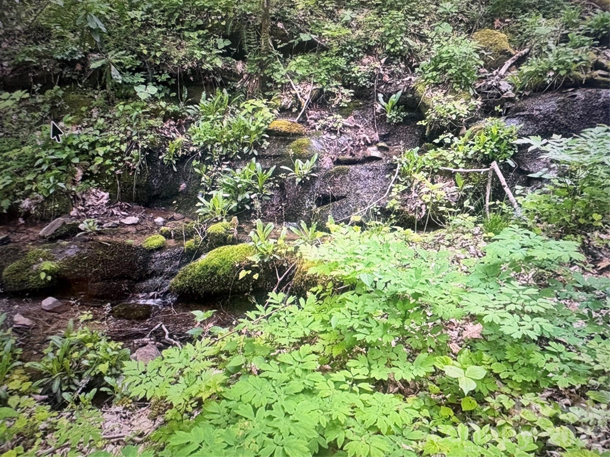Lot at 0 Huckleberry Walk, Bryson City, photo 3 of 10