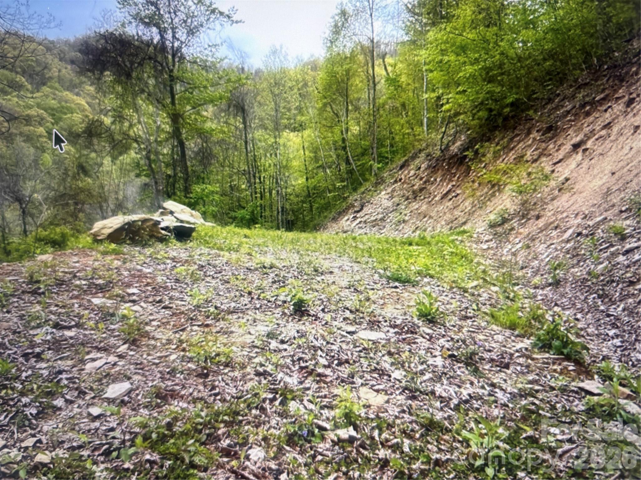 Lot at 0 Huckleberry Walk, Bryson City, photo 5 of 10