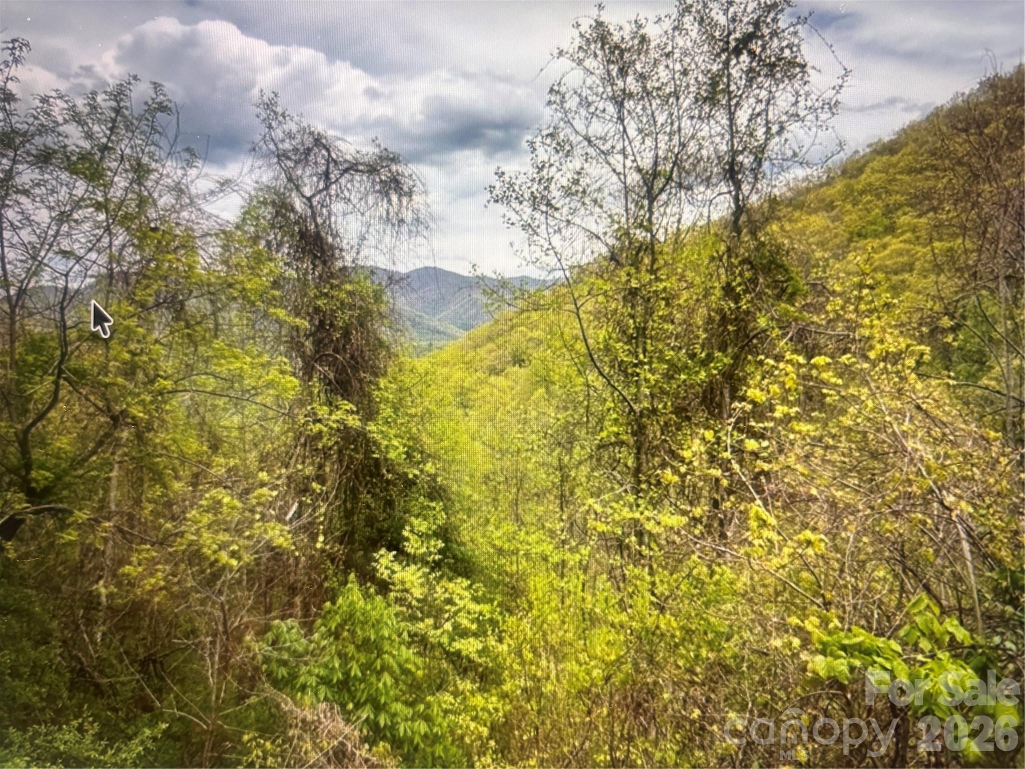 Lot at 0 Huckleberry Walk, Bryson City, photo 6 of 10