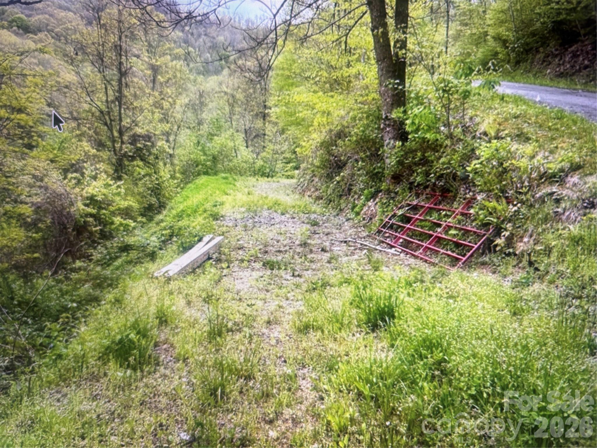 Lot at 0 Huckleberry Walk, Bryson City, photo 7 of 10