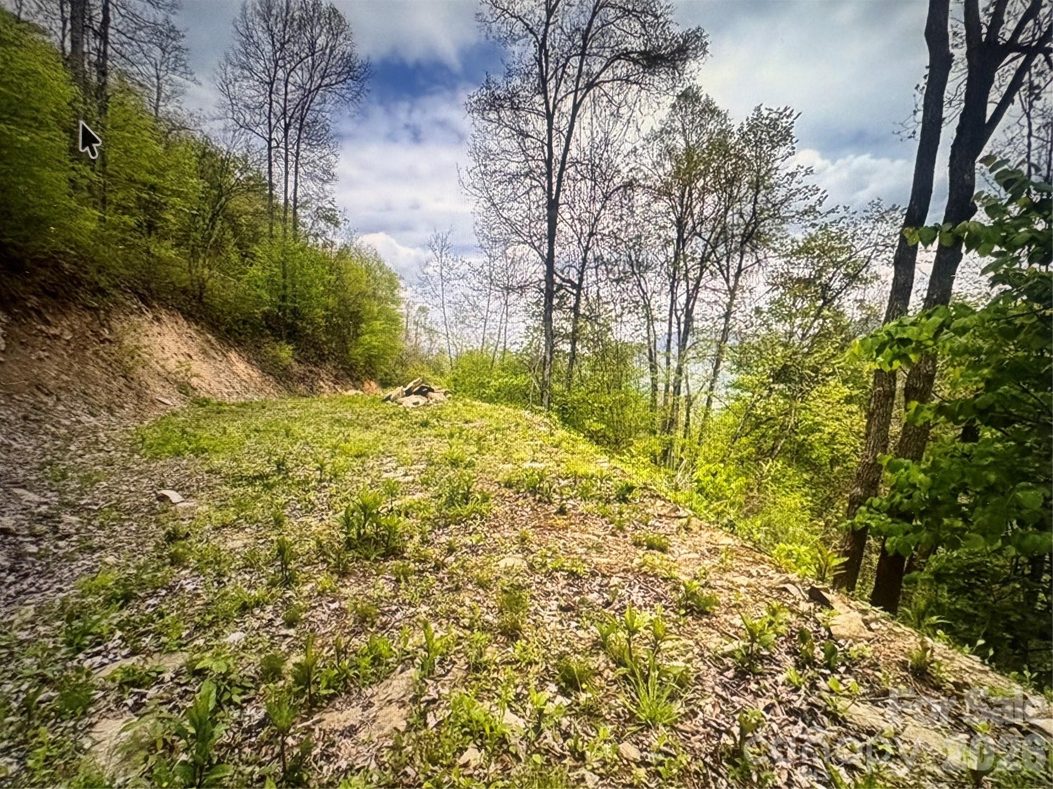 Lot at 0 Huckleberry Walk, Bryson City, photo 8 of 10