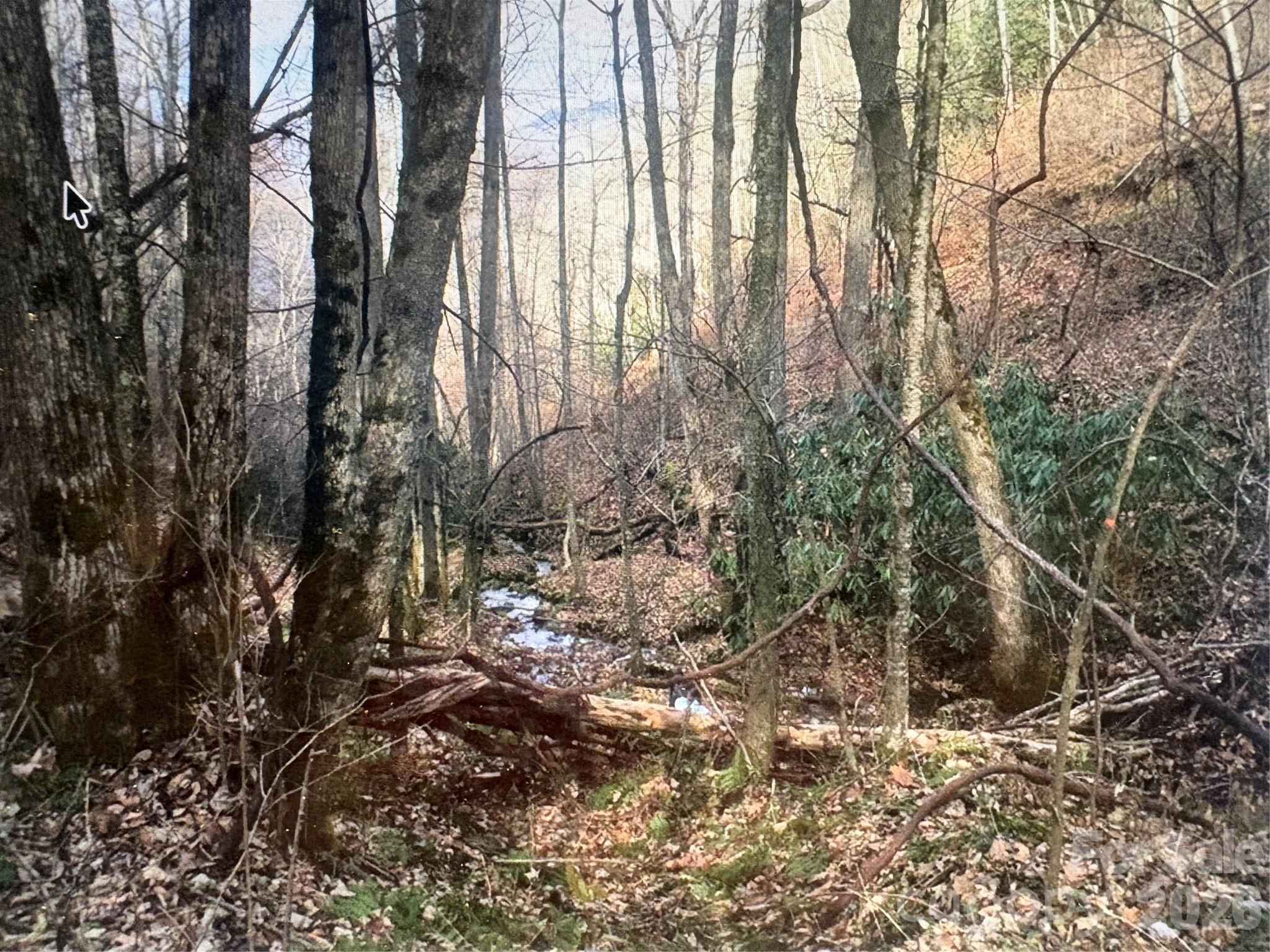 Lot at 0 Huckleberry Walk, Bryson City, photo 9 of 10