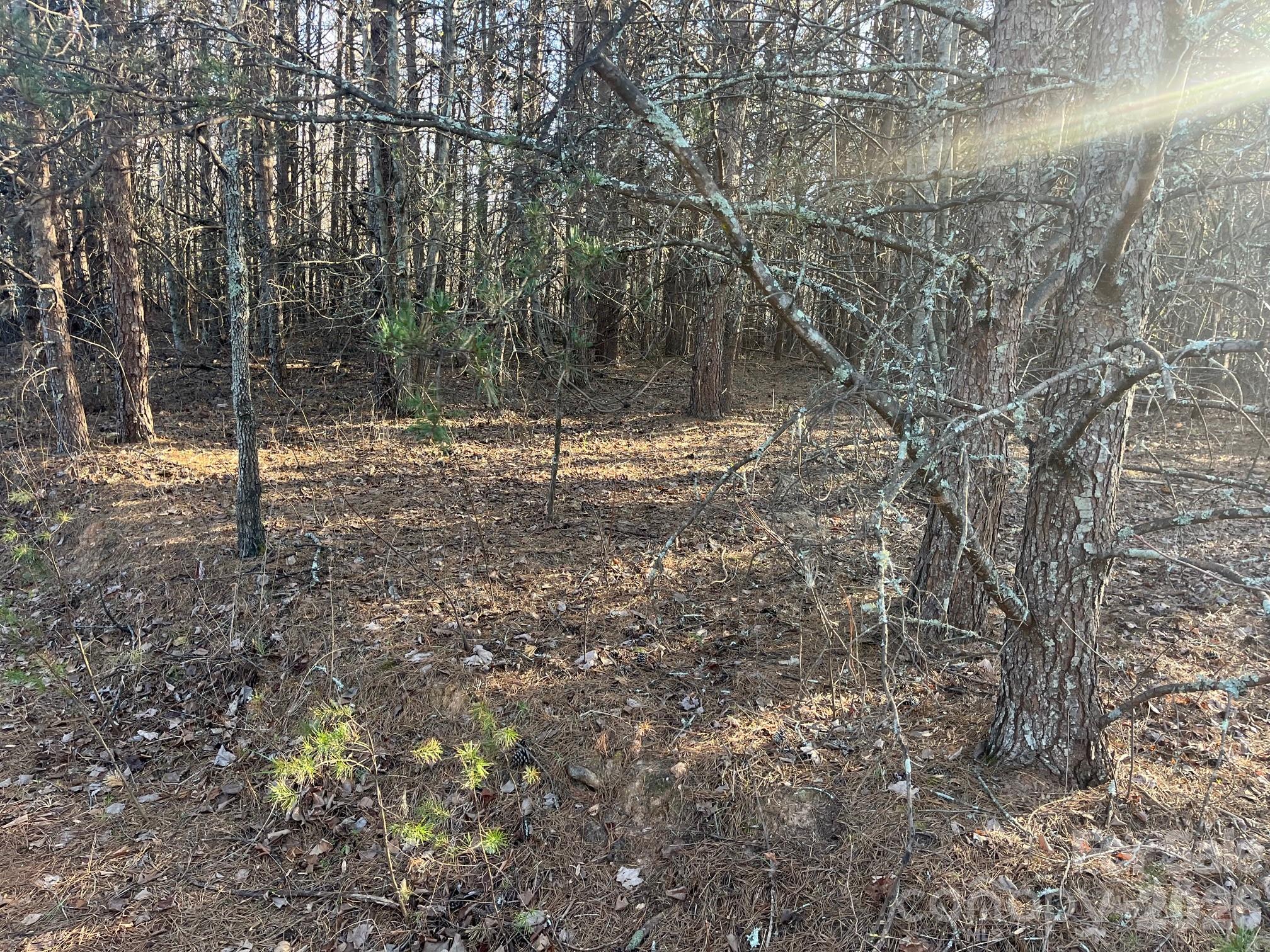 Acreage at TBD Southern Way, Nebo, photo 2 of 22