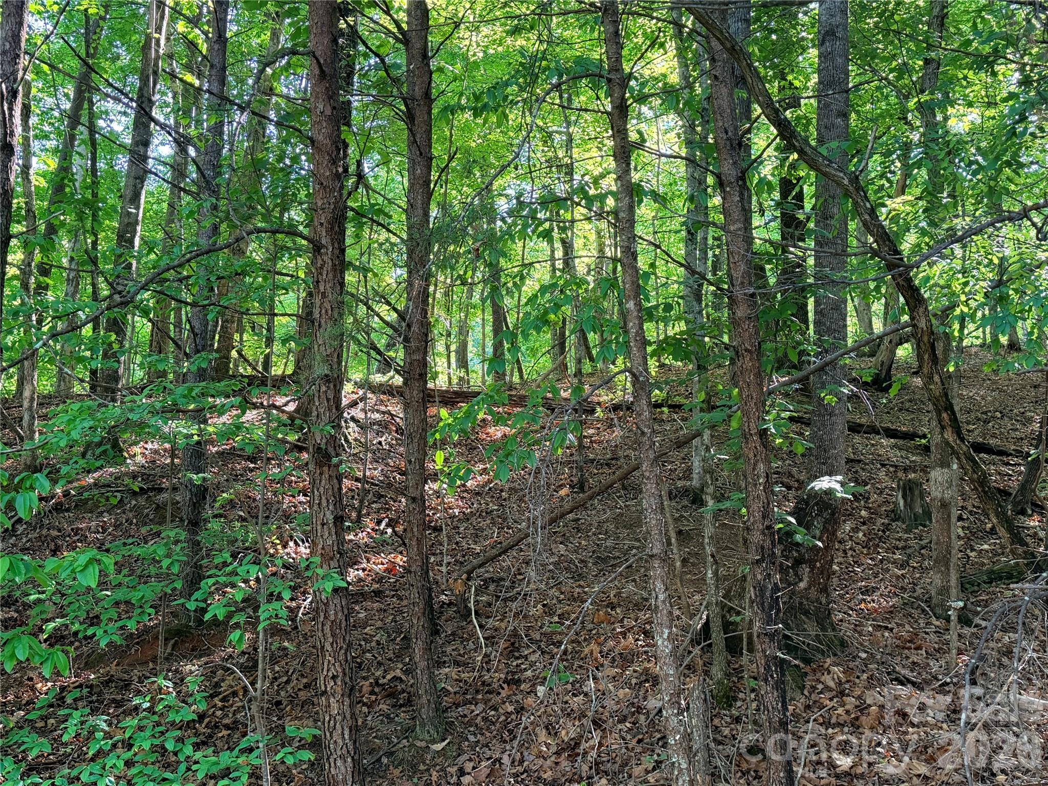 Lot at 0000 Lakewood Drive, Lake Lure, photo 2 of 22