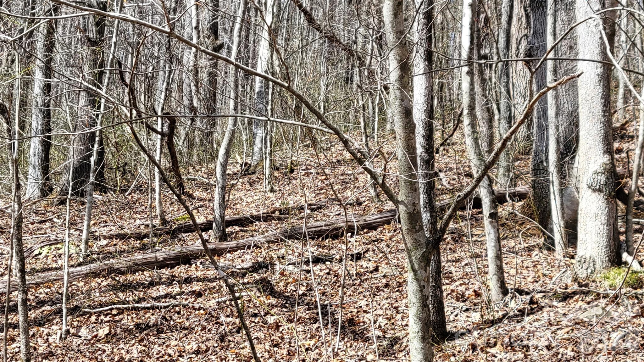 Lot at 112 Rainbow Trout Road, Burnsville, photo 11 of 20