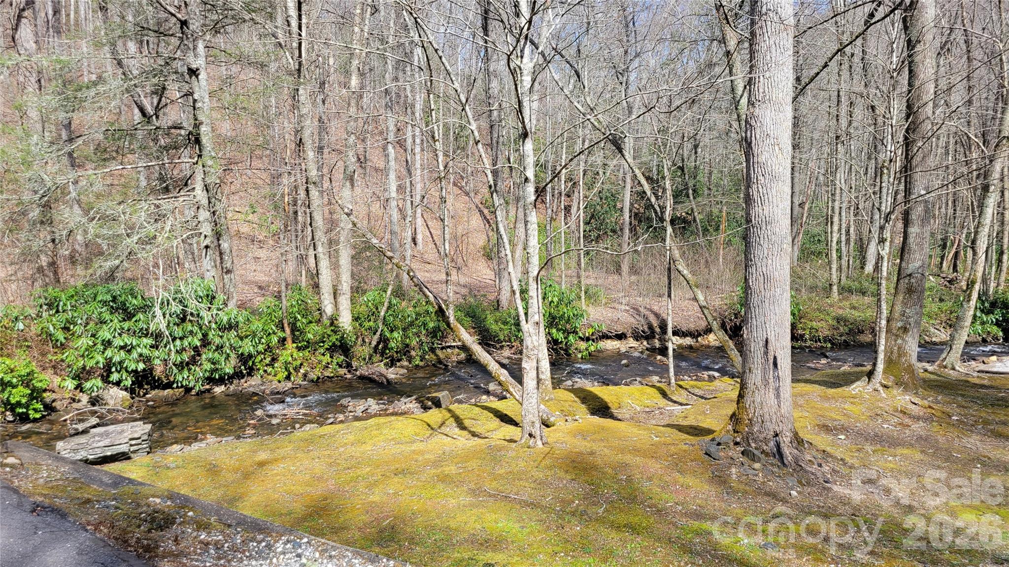 Lot at 112 Rainbow Trout Road, Burnsville, photo 20 of 20
