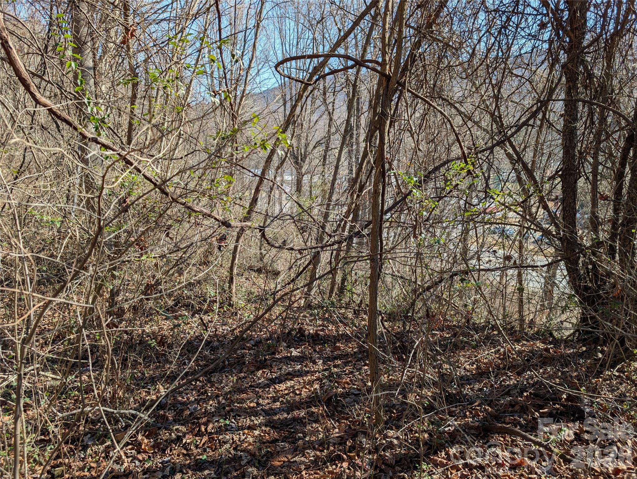 Unimproved Commercial at 00 Great Smoky Mountain Expy Highway, Waynesville, photo 5 of 6