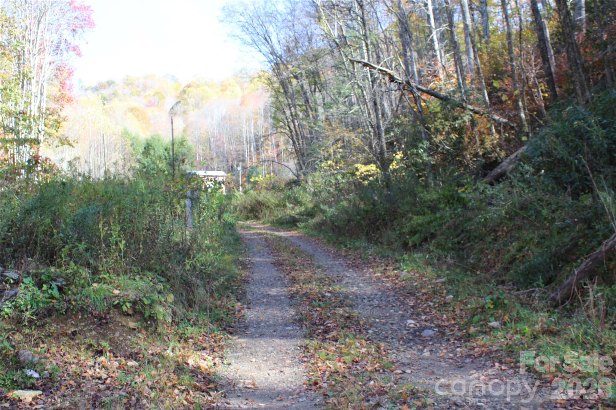Acreage at 44 Toms Creek Road, Bakersville, photo 4 of 18