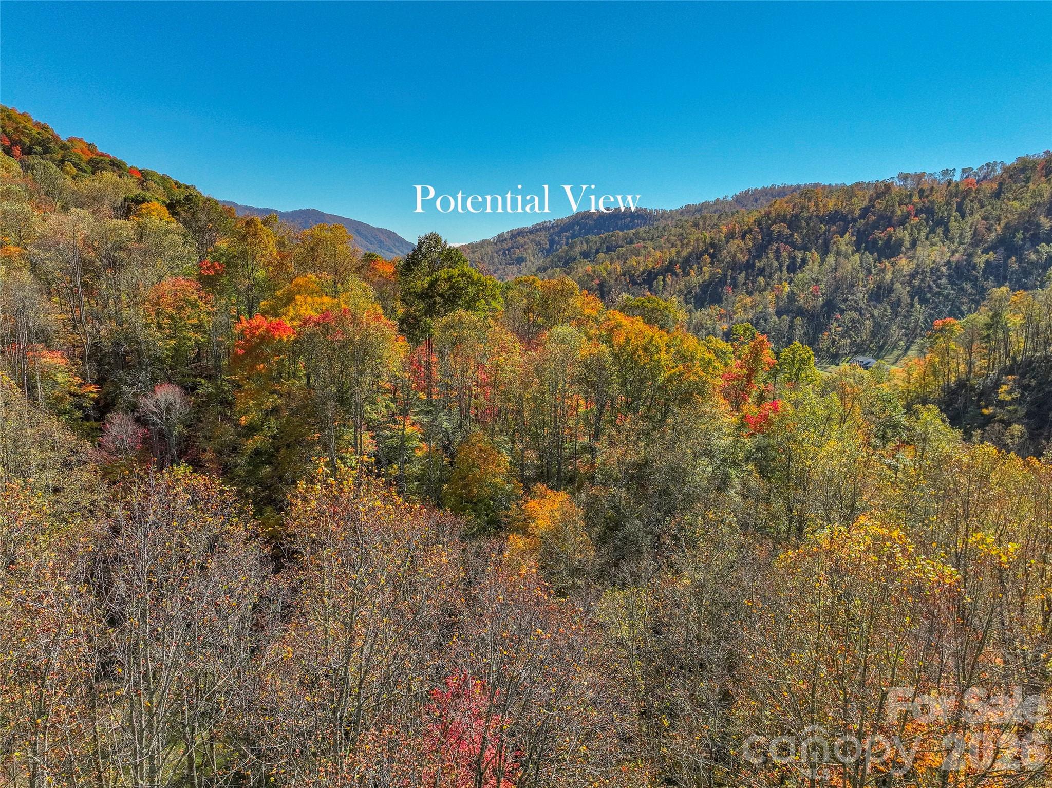 Acreage at 44 Toms Creek Road, Bakersville, photo 11 of 18