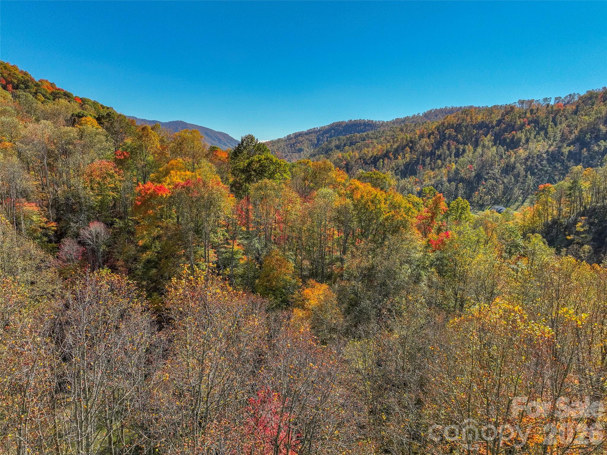 Acreage at 44 Toms Creek Road, Bakersville, photo 12 of 18